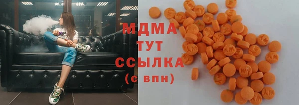 гидра Михайловка