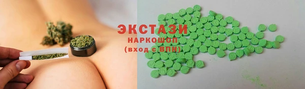 индика Надым