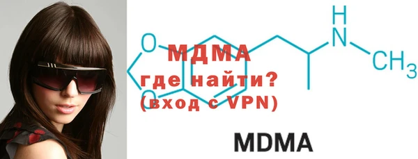индика Надым