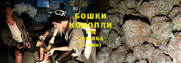 индика Надым