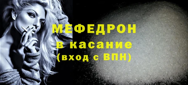 индика Надым