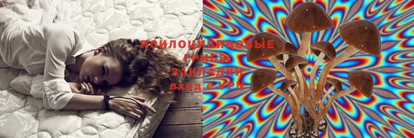 индика Надым