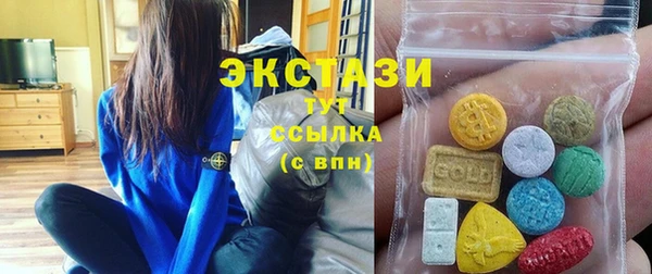 индика Надым