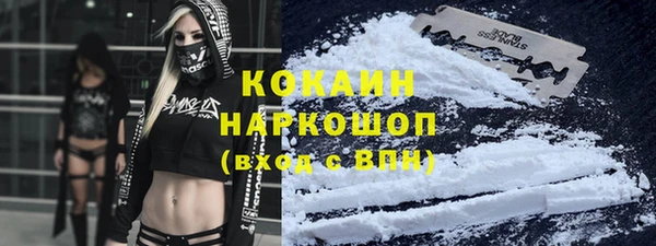 индика Надым