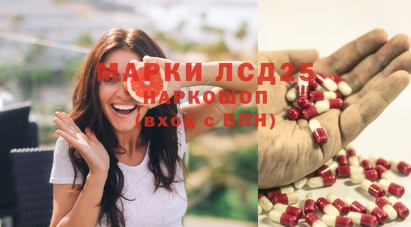 индика Надым