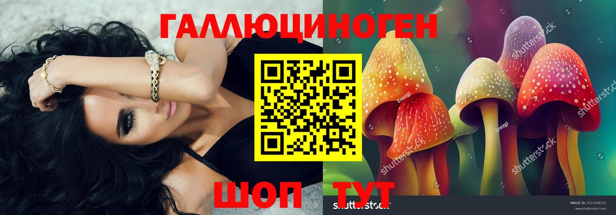 Казань  Псилоцибиновые грибы GOLDEN TEACHER  Галлюциногенные грибы прущие грибы  Вход с VPN 