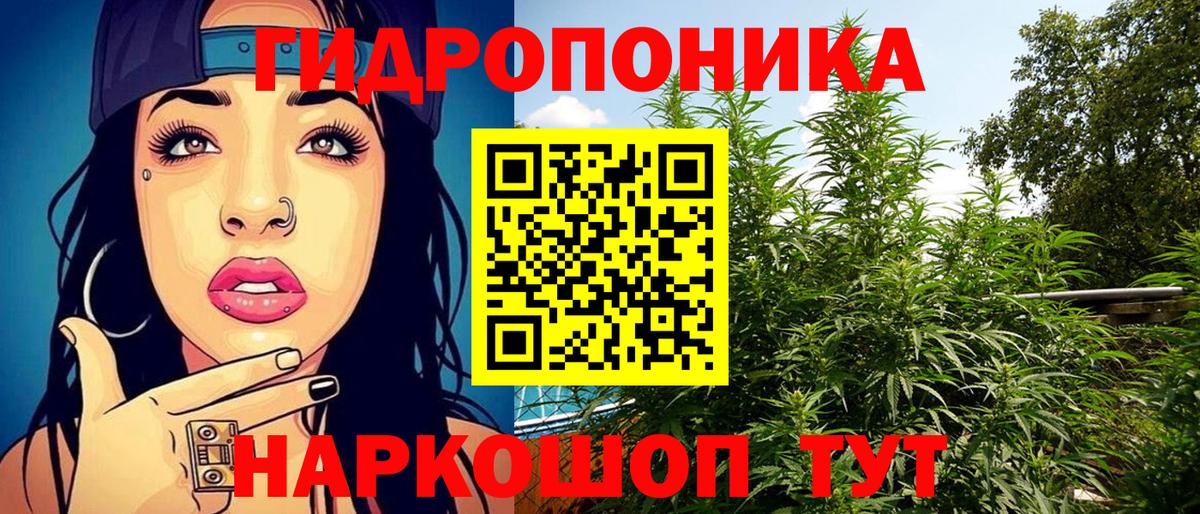 Шишки марихуана семена  Вход с VPN  Каннабис Ganja  Казань 
